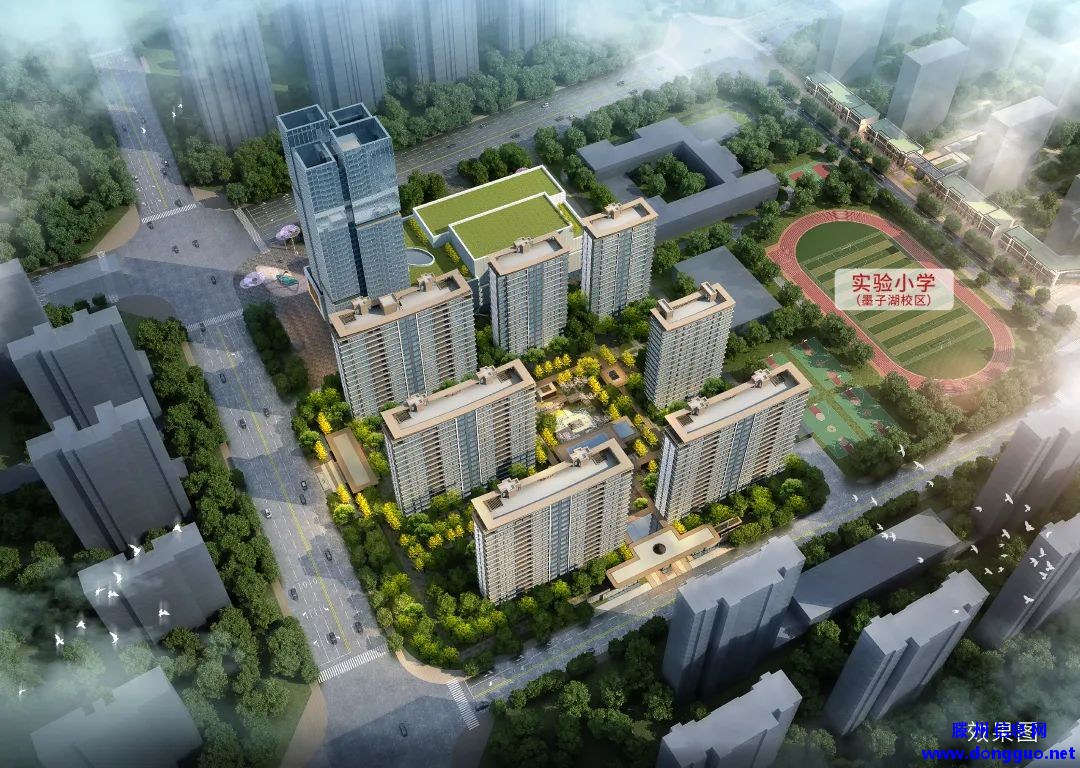 滕州高品质住宅项目户型图流出，有亮点！
