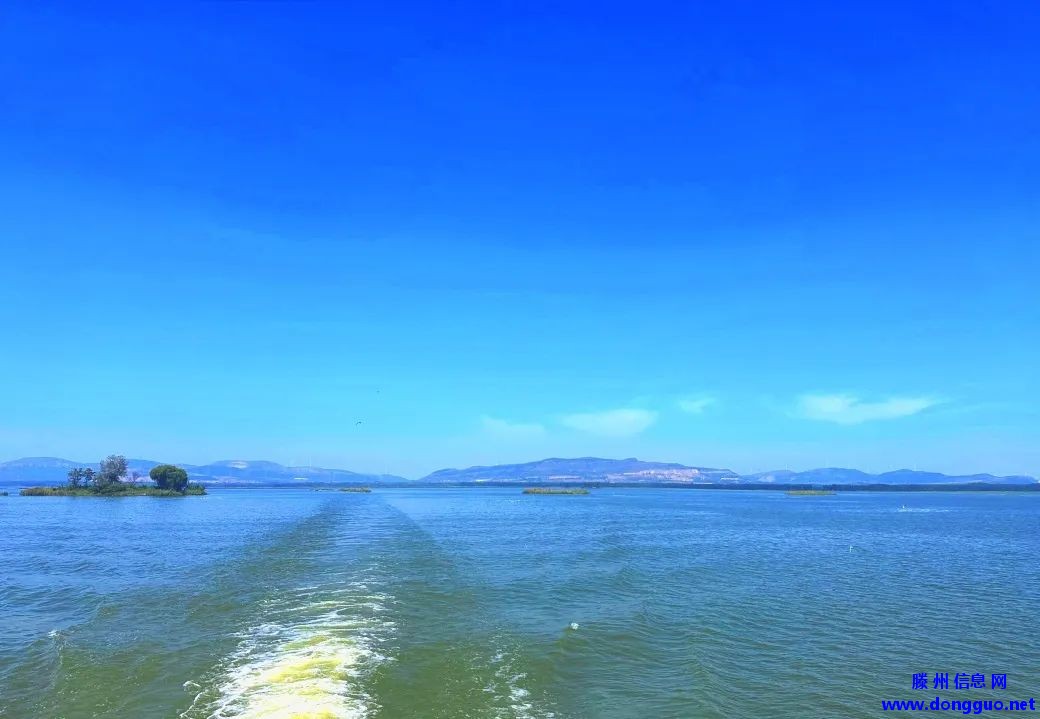 滕州微山湖红荷湿地 | 红荷湿地女神节特惠，邀你共赴微湖浪漫之约~~~