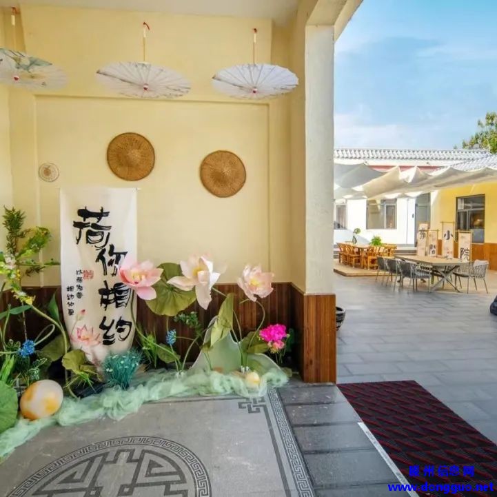 滕州微山湖红荷湿地 | 红荷湿地女神节特惠，邀你共赴微湖浪漫之约~~~